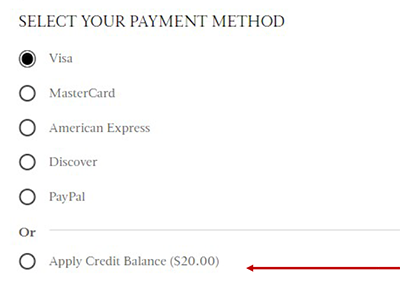 Apply Credit Balance as payment option